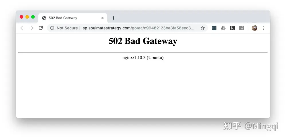 Nginx 502 Bad Gateway